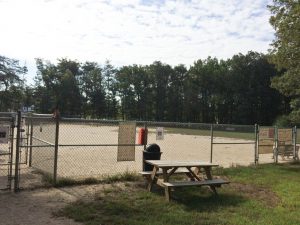 PWLiving-Relax-Dog-Training-Prince-William-County-Dog-Park-2