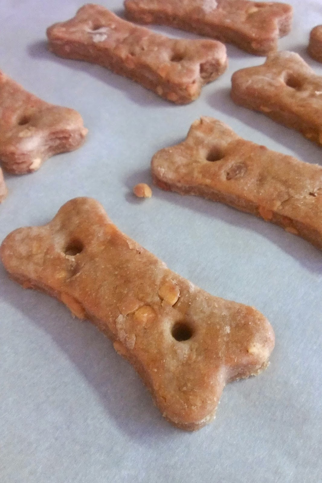 Homemade Organic Dog Treats Semper K9 Service Dogs for