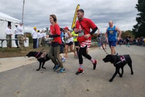 USMC veterans Christopher Baity, Semper K9 founder and Executive Director, and Jessica Rambo finish their first marathons with service dogs Bella and Bree.