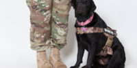 Service Dogs for Veterans Semper K9