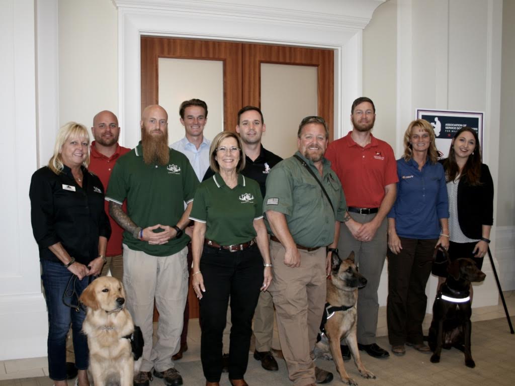 National Service Dog Training Standards Semper K9 Service Dogs for