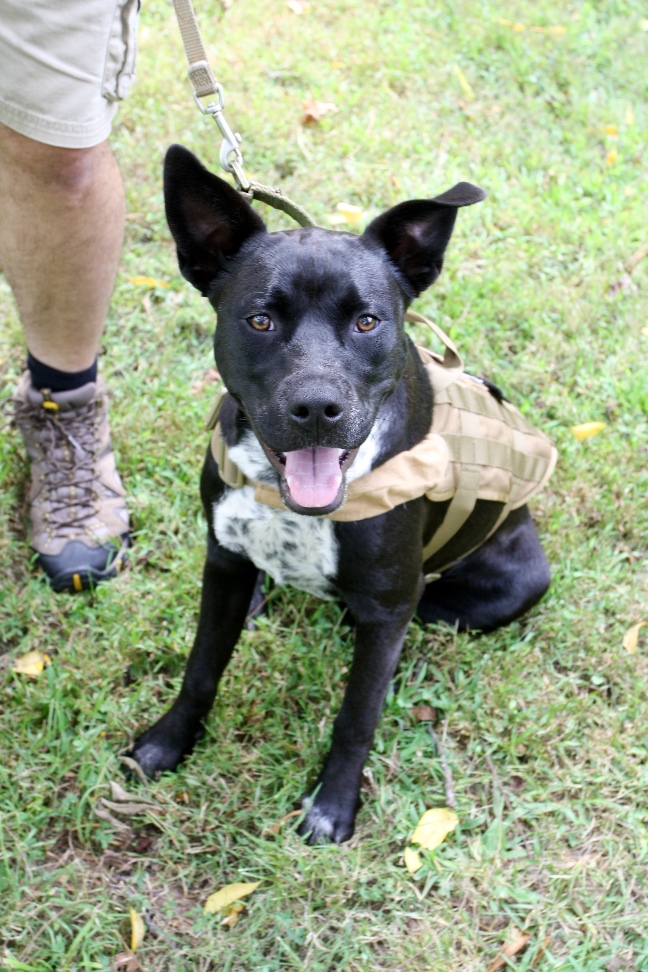 Veteran Voices: George Lamb