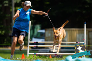 Semper K9 Obedience Olympiad Image