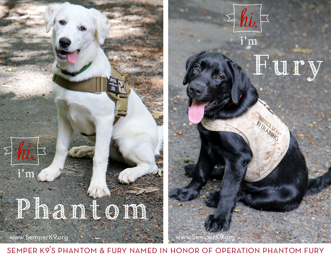 phantom fury zia park 2017 phantom fury zia park 2017