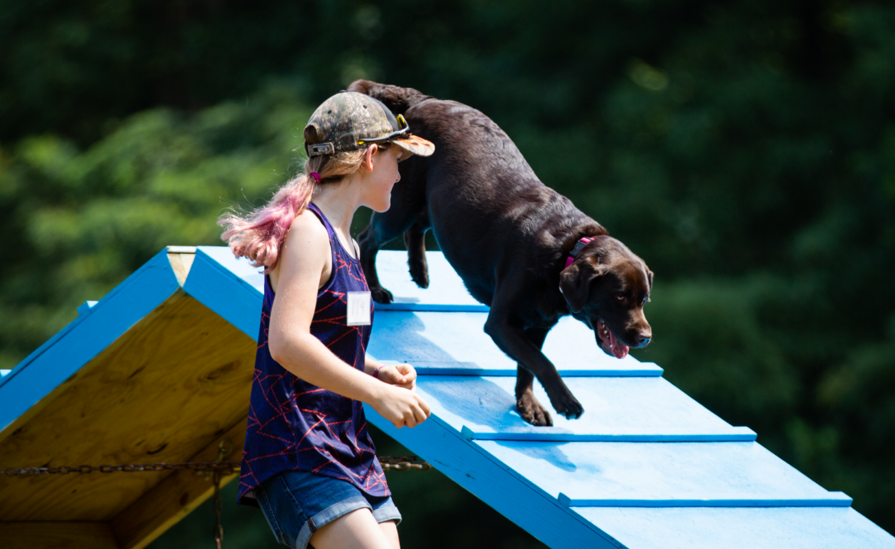 Can Your Dog Win Gold at the 3rd Annual Dog Olympics?