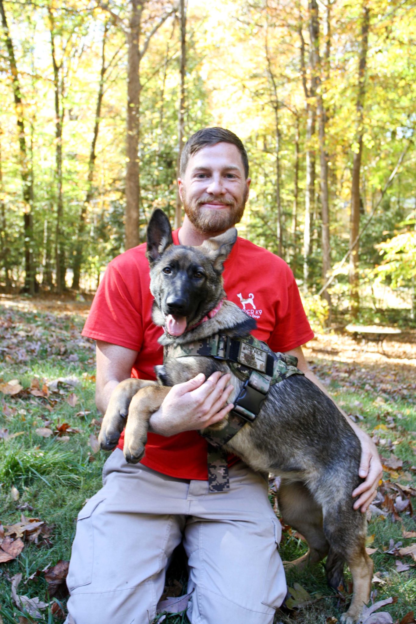 Public Access Required Semper K9 Service Dogs For Veterans