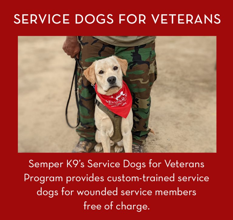 Service Dogs for Veterans Semper K9 Service Dogs for Veterans