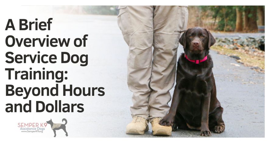 Free veteran service dog sales training