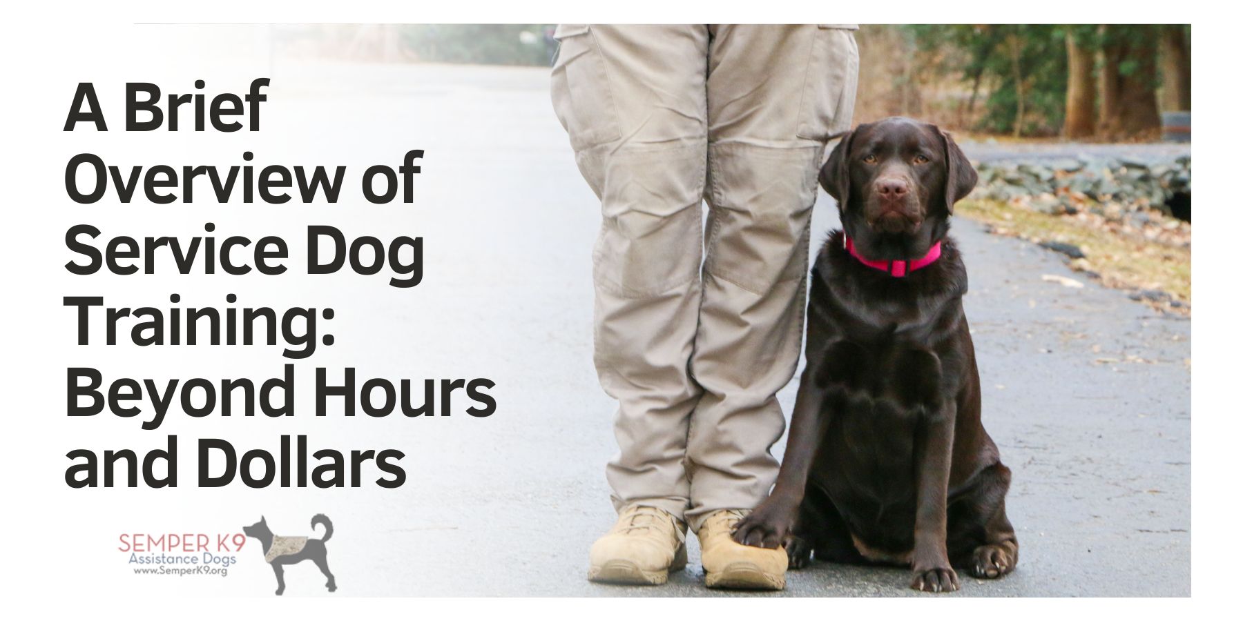 A Brief Overview of Service Dog Training: Beyond Hours and Dollars